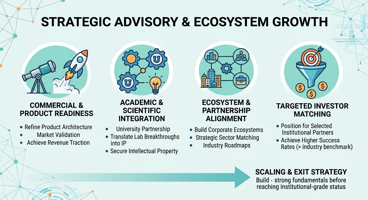 Strategic Advisory Beyond Traditional Venture Capital for Scale-Ups and Research Spin-Outs Thailand